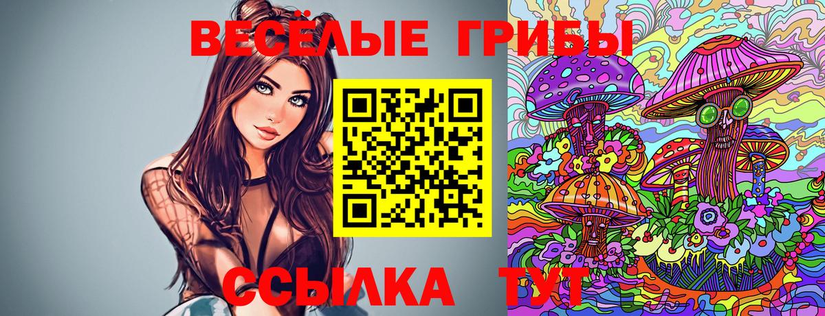 Галлюциногенные грибы Psilocybe Красногорск